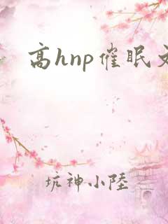 高hnp催眠文