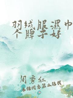 羽绒服湿巾纸哪个牌子好