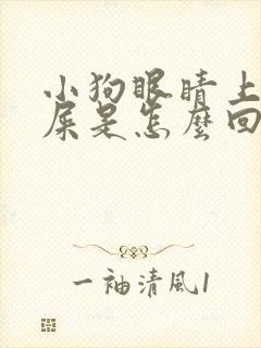 小狗眼睛上有眼屎是怎么回事