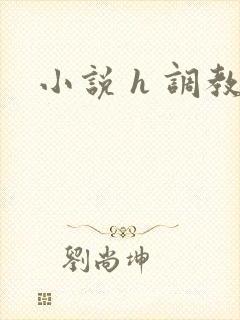 小说 h 调教