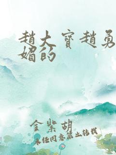 赵大宝赵勇和苏媚的