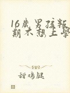 16岁男孩叛逆期不想上学怎么办