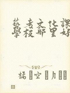 艺考文化课补习学校哪里好