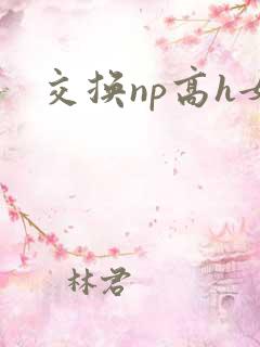 交换np高h女