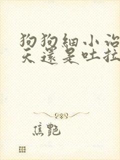 狗狗细小治疗六天还是吐拉怎么办