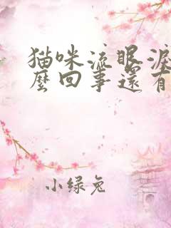 猫咪流眼泪是怎么回事还有眼屎