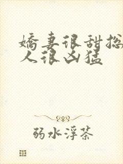 娇妻很甜总裁大人很凶猛