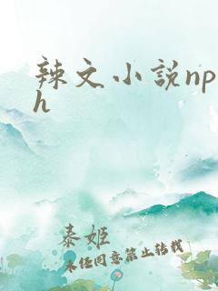 辣文小说np高h