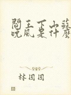 阎王下山苏文陆晚风是什么小说