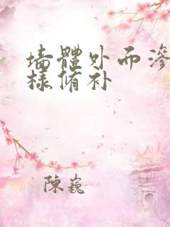 墙体外面渗水怎样修补