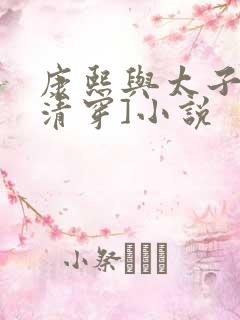 康熙与太子妃[清穿]小说