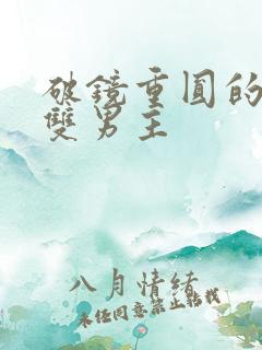 破镜重圆的小说双男主