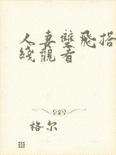 人妻双飞搭讪在线观看