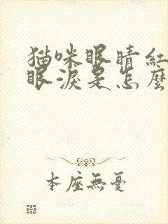 猫咪眼睛红肿流眼泪是怎么回事