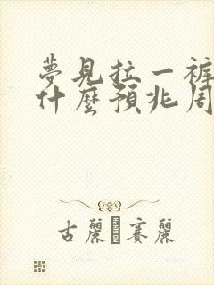 梦见拉一裤子屎什么预兆周公解梦