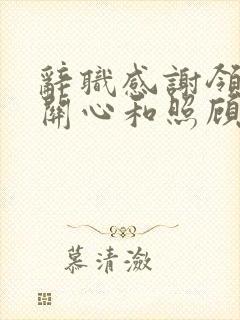 辞职感谢领导的关心和照顾的话语