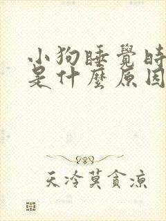 小狗睡觉时抽搐是什么原因