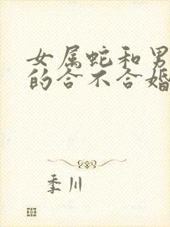 女属蛇和男属兔的合不合婚