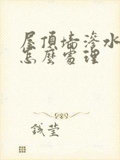 屋顶墙渗水发霉怎么处理