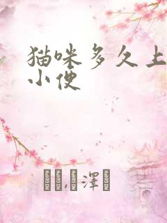 猫咪多久上一次小便