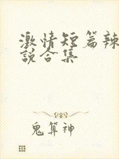 激情短篇辣文小说合集