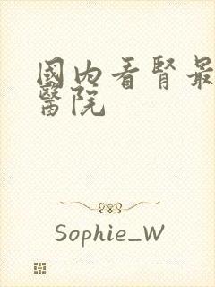 国内看肾最好的医院