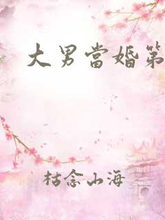 大男当婚第二季