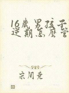 16岁男孩子叛逆期怎么管