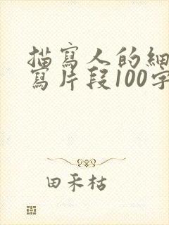 描写人的细节描写片段100字