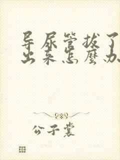 导尿管拔了尿不出来怎么办