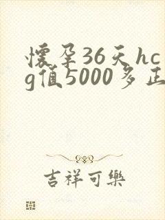 怀孕36天hcg值5000多正常吗