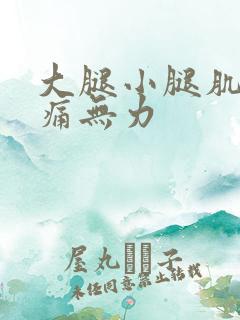 大腿小腿肌肉酸痛无力