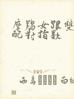 摩羯女跟双子男配对指数