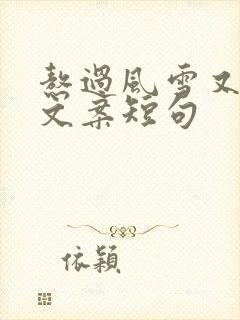 熬过风雪又一年文案短句