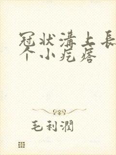 冠状沟上长了两个小疙瘩