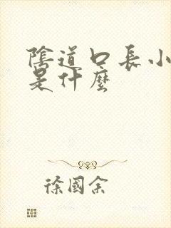 阴道口长小水泡是什么