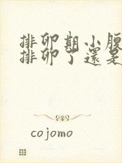 排卵期小腹胀是排卵了还是没排