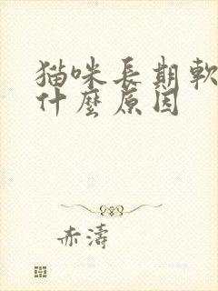 猫咪长期软便是什么原因