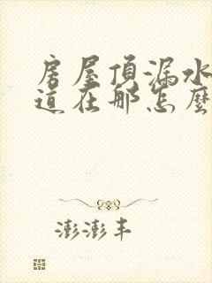 房屋顶漏水不知道在那怎么处理