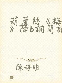 葫芦丝《梅花泪》降b调简谱