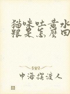 猫咪吐黄水吐猫粮是怎么回事