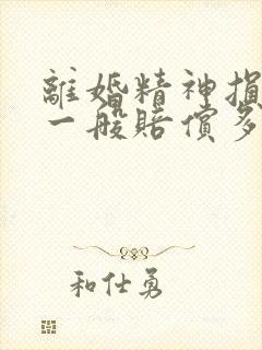 离婚精神损失费一般赔偿多少