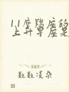 1.1摩羯座的上升星座是什么