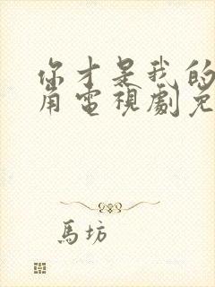 你才是我的男主角电视剧免费观看