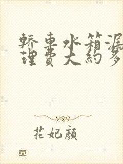 轿车水箱漏水修理费大约多少