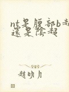 nt是腹部b超还是阴超