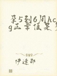 孕5到6周hcg正常值是多少