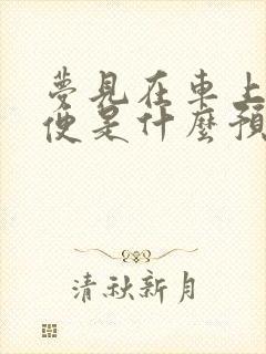 梦见在车上拉大便是什么预兆