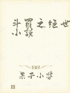 斗罗之绝世冰神小说