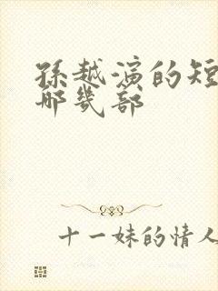 孙越演的短剧有哪几部